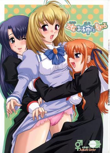 Hairy Sexy Otome wa Boku o Okashiteru | The Maiden Raping My Sister- Otome wa boku ni koishiteru hentai Chubby
