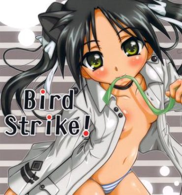 Leather Bird Strike!- Strike witches hentai Webcamshow